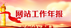 网站工作年报